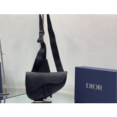 디올 DIOR Saddle Bag 새들 백