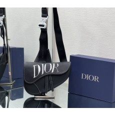 디올 DIOR Saddle Bag 새들 백