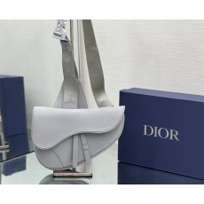 디올 DIOR Saddle Bag 새들 백