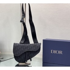 디올 DIOR Saddle Bag 새들 백